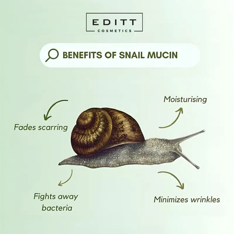 All in one snail slime body cream Effect