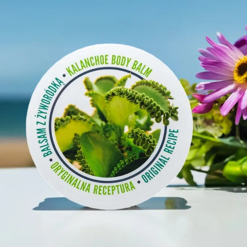 Nourishing, Regenerating & Firming Body Balm with Kalanchoe & Shea Butter 230ml